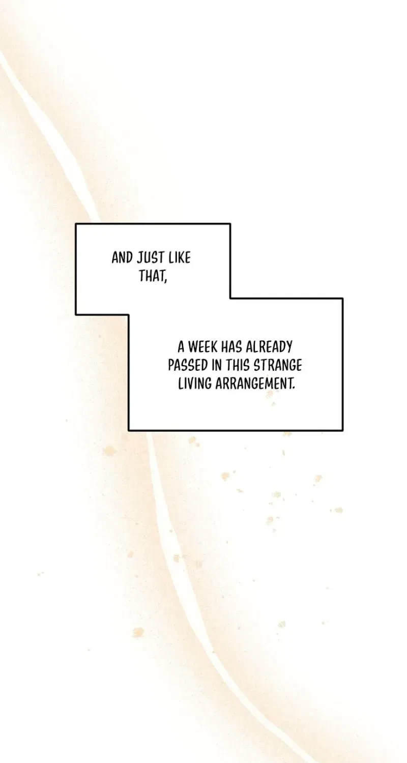 Chapter 4, page 62