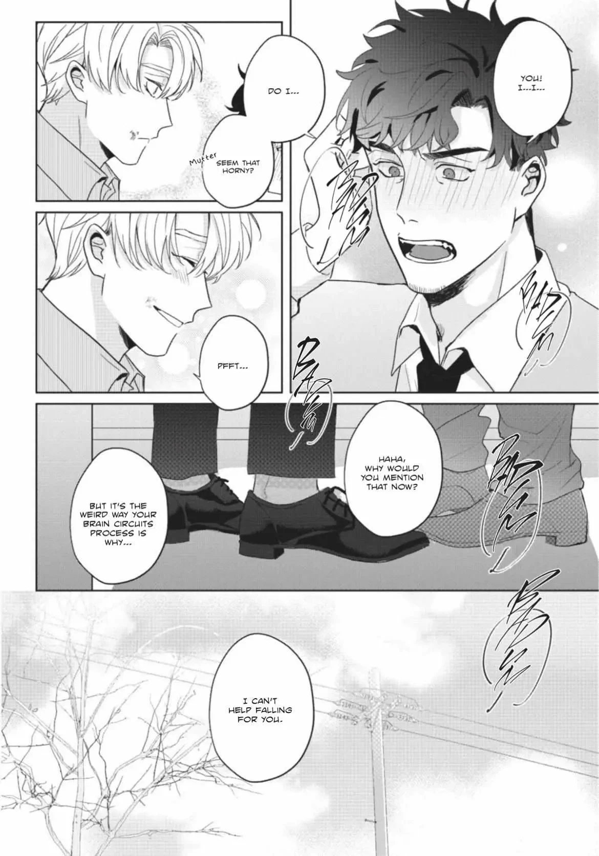 Chapter 1.5, page 15