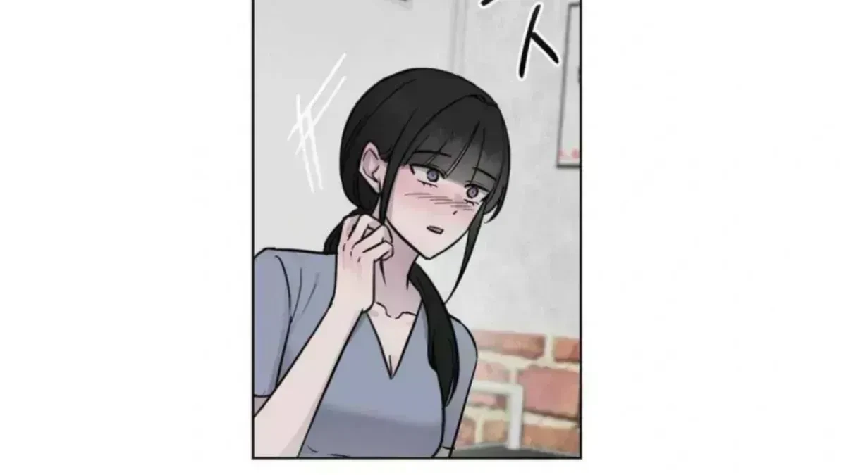 Chapter 5.1, page 101