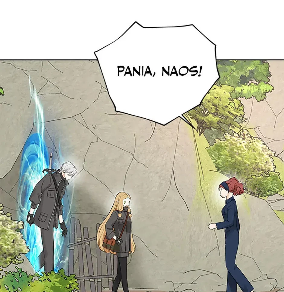 Chapter 3.1, page 101
