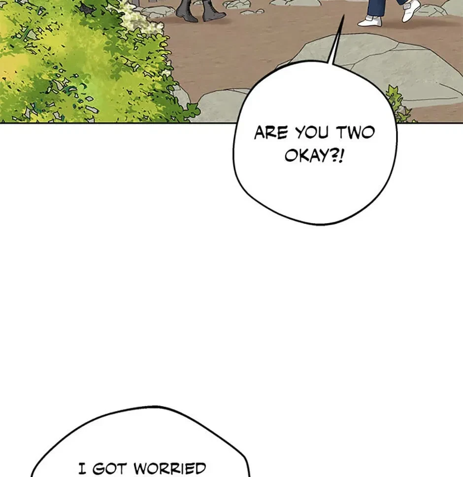 Chapter 3.1, page 102