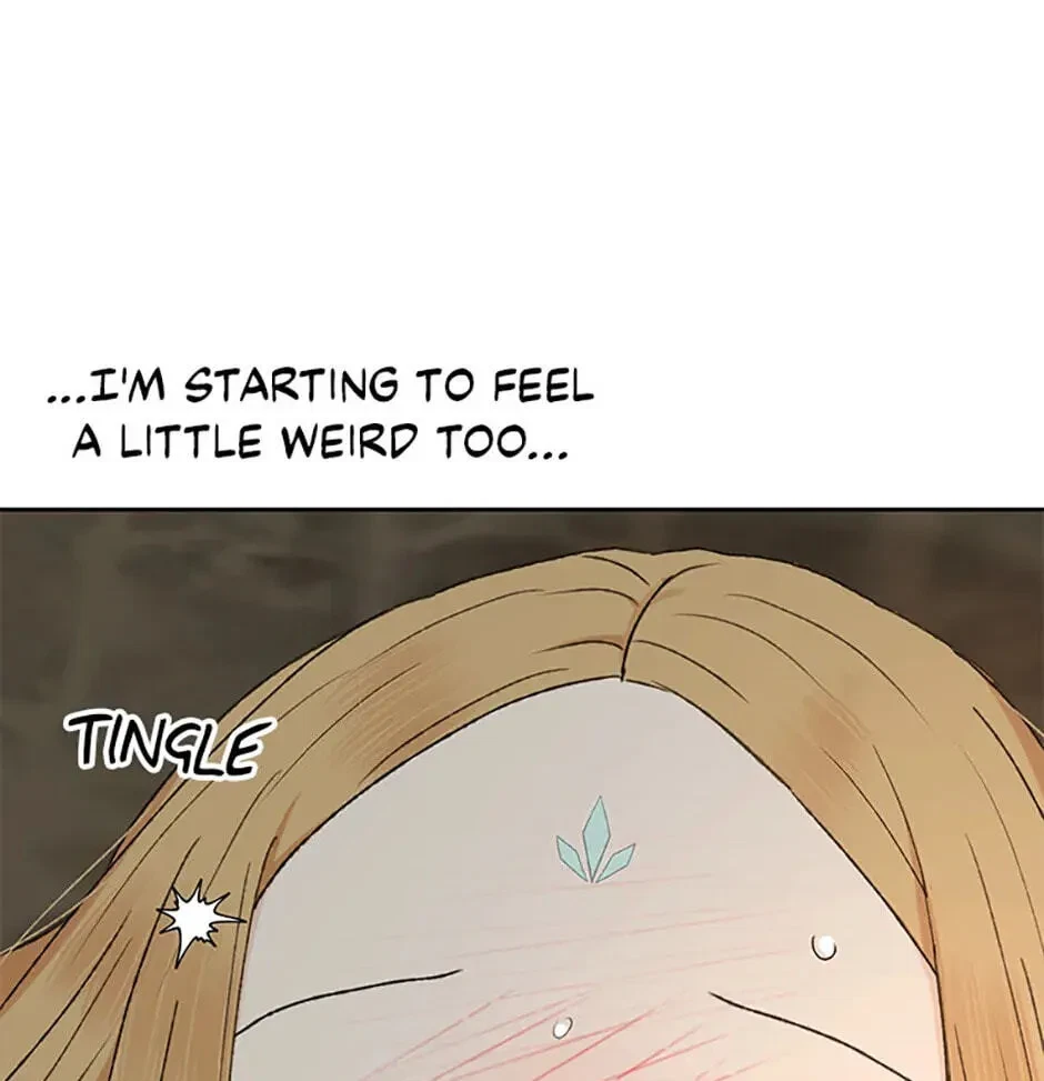 Chapter 3.1, page 12