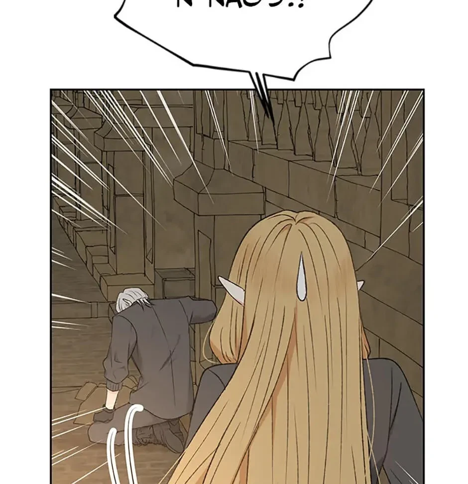 Chapter 3.1, page 19