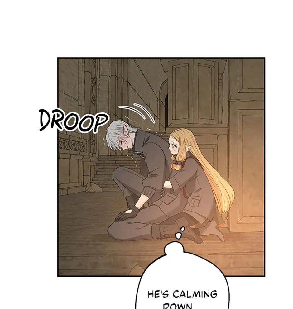 Chapter 3.1, page 40