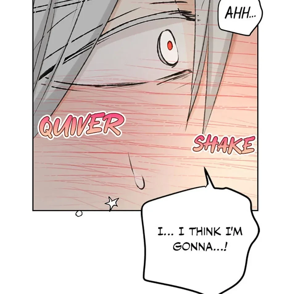 Chapter 3.1, page 74