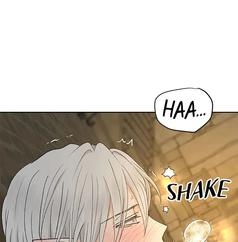 Chapter 3.1, page 81