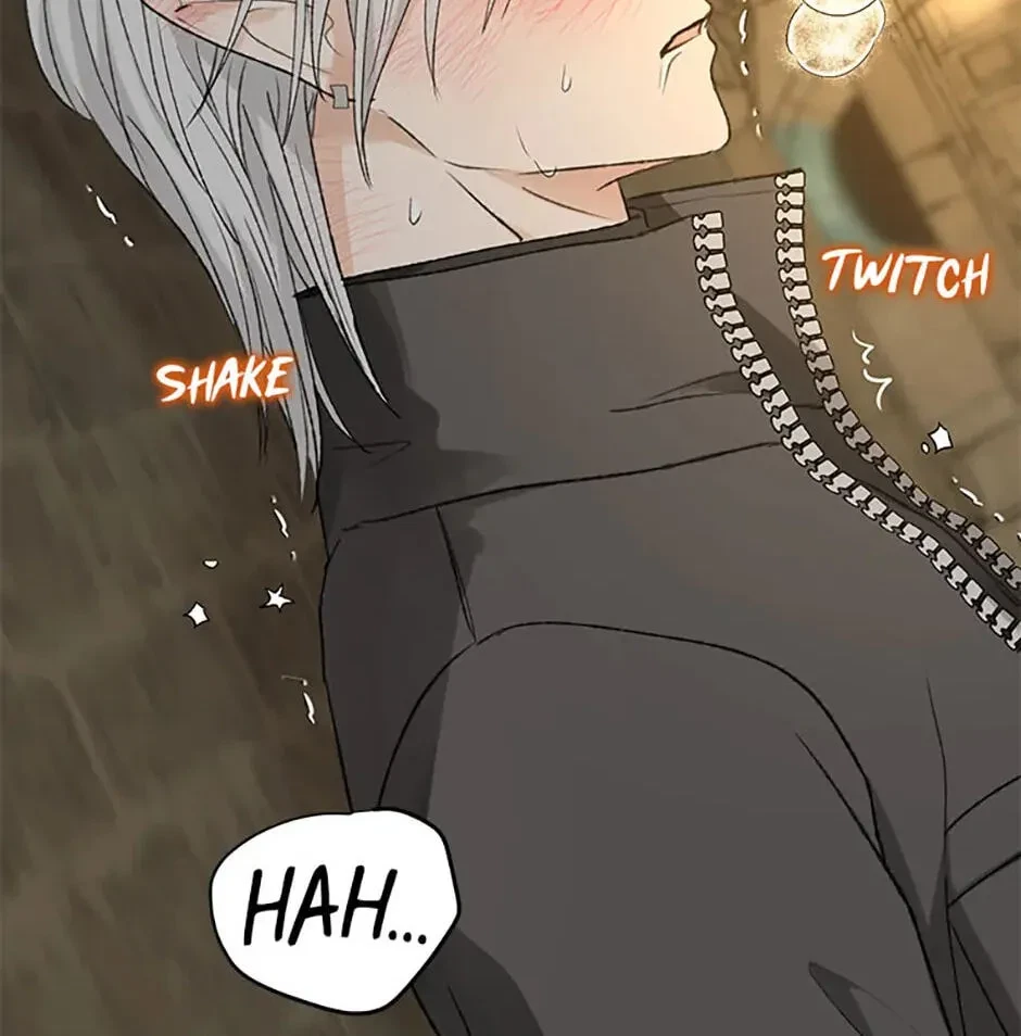 Chapter 3.1, page 82