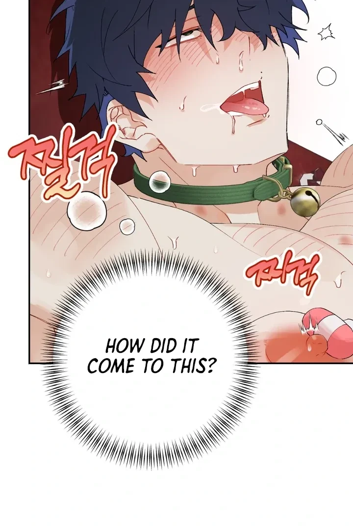 Chapter 1, page 101