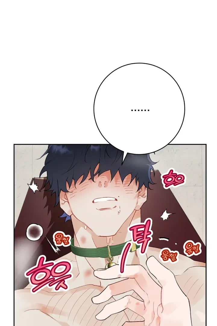 Chapter 1, page 14