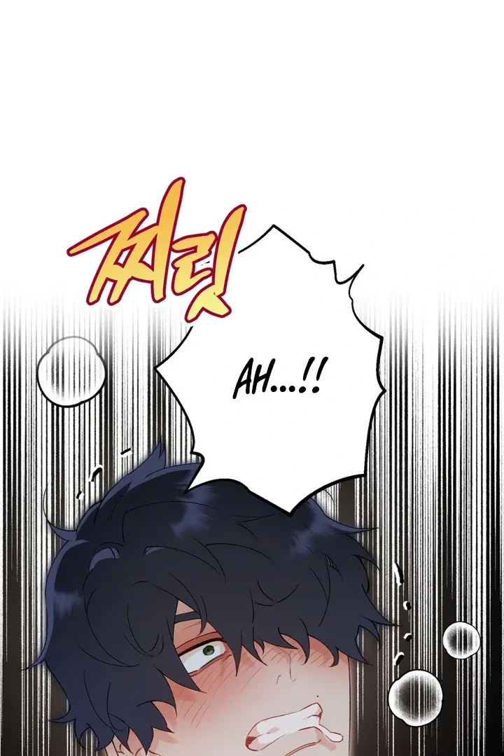 Chapter 1, page 19