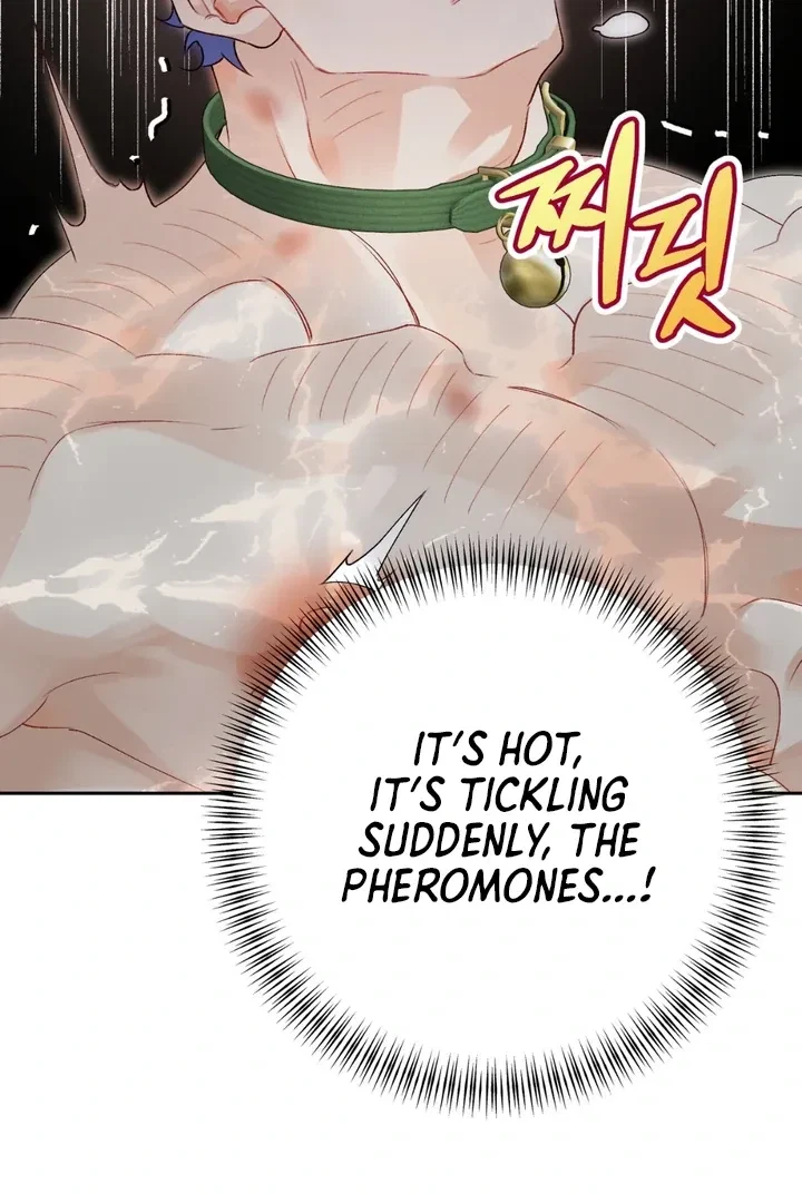 Chapter 1, page 20
