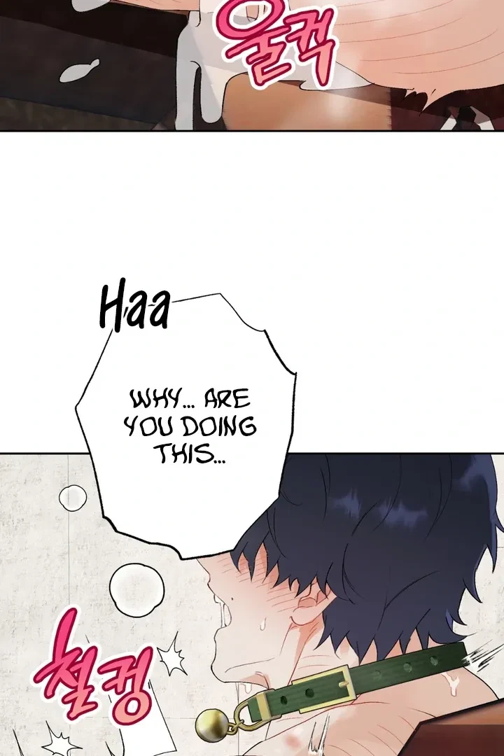 Chapter 1, page 4