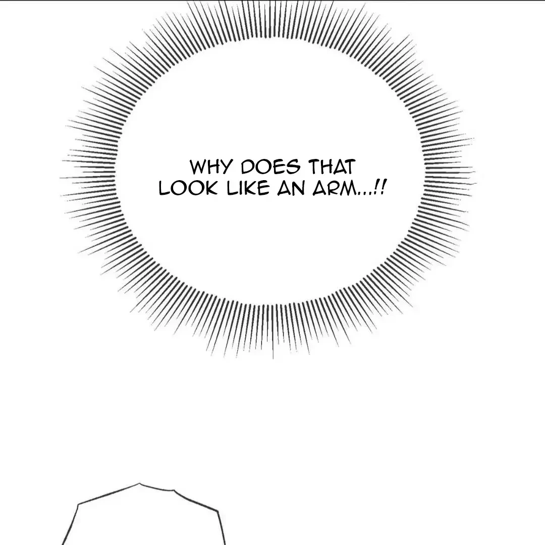 Chapter 1.1, page 52
