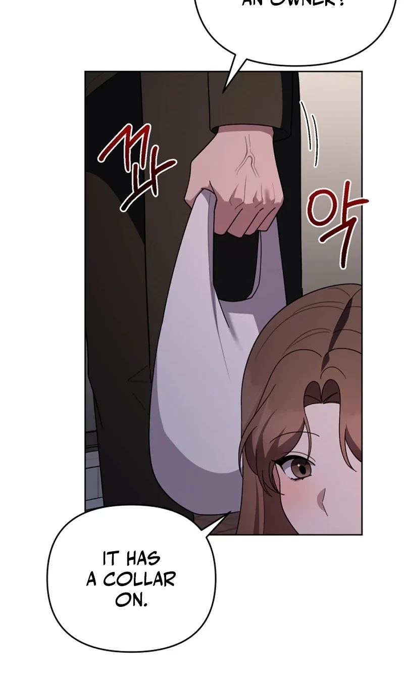 Chapter 8, page 33