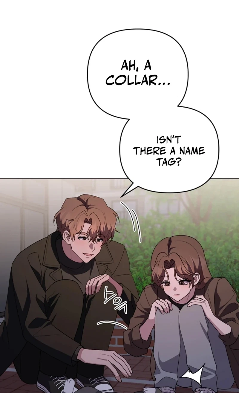 Chapter 8, page 34
