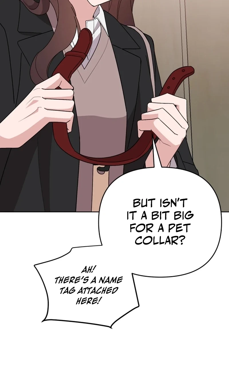 Chapter 8, page 79