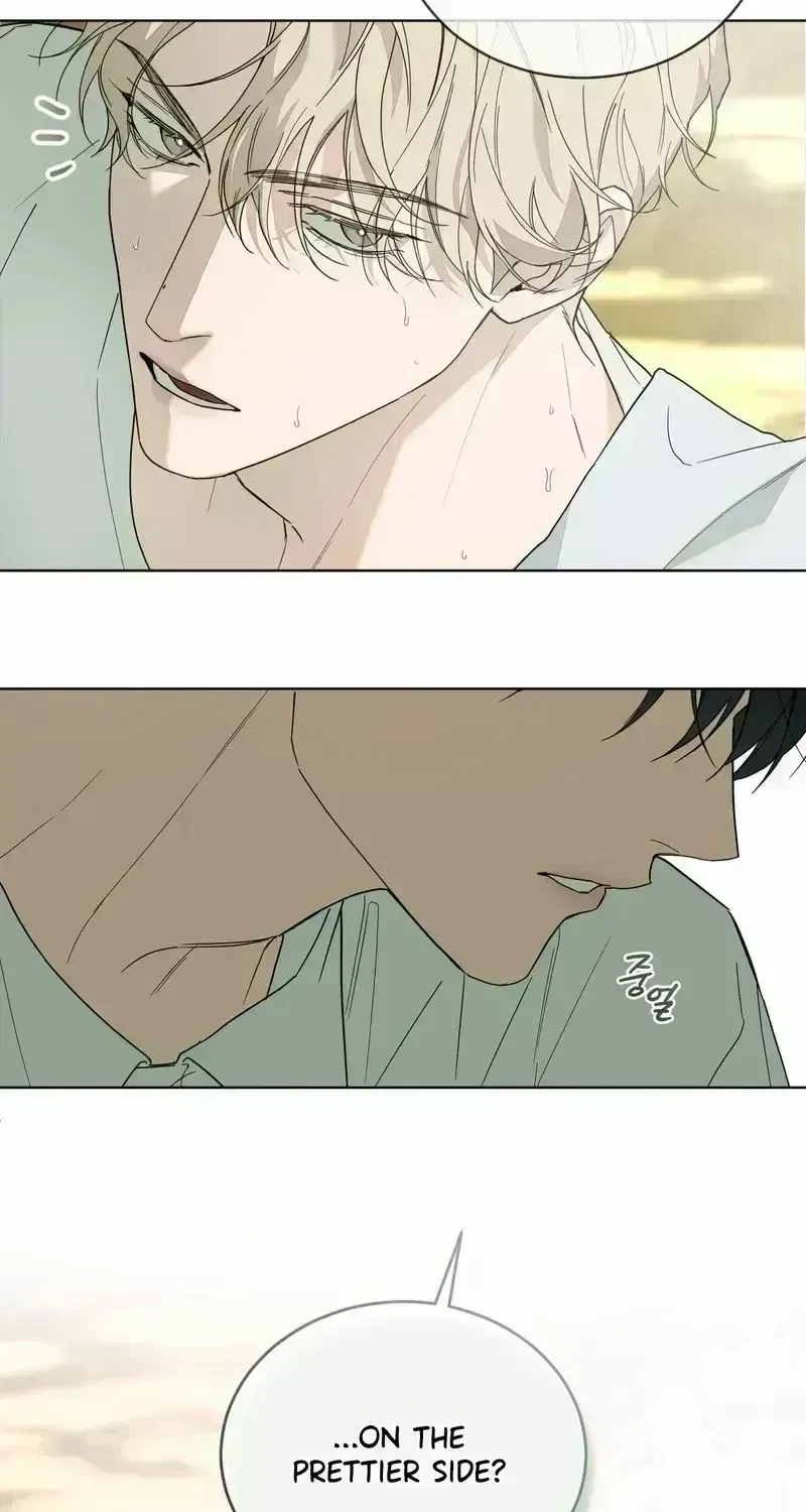 Chapter 1.8, page 15