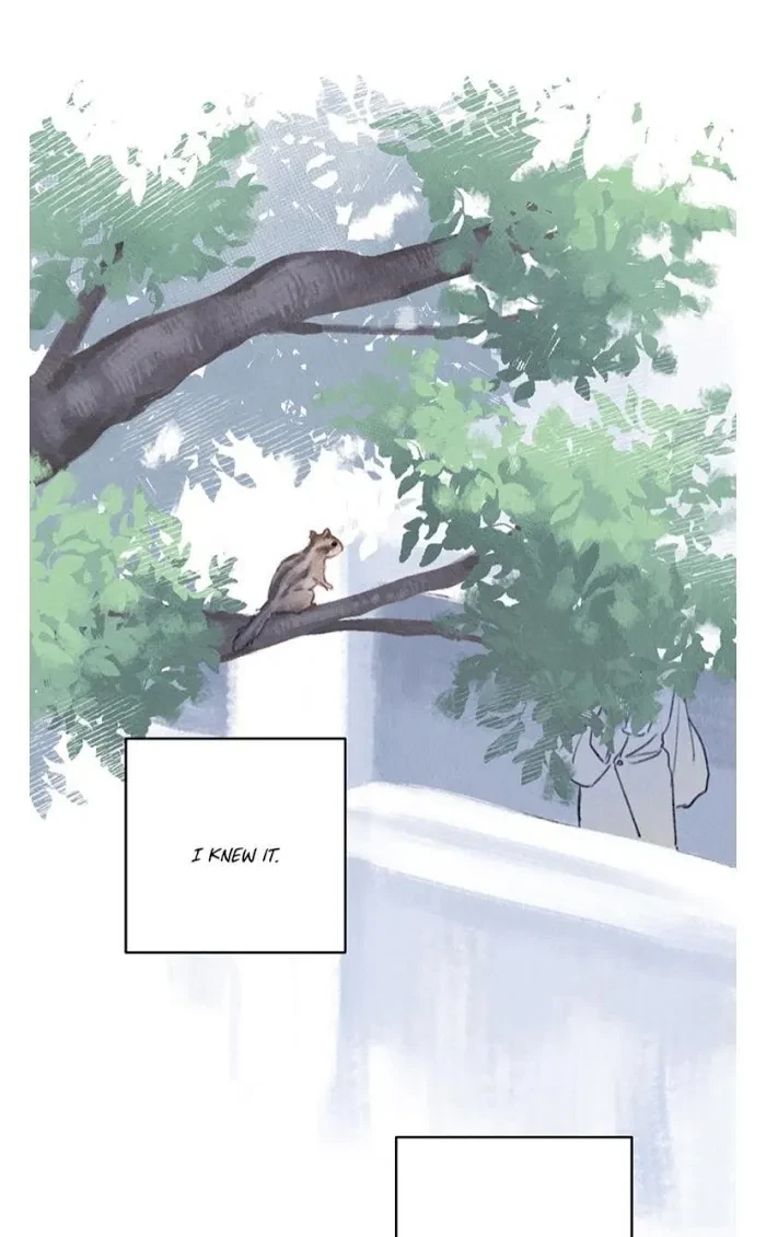 Chapter 74, page 13