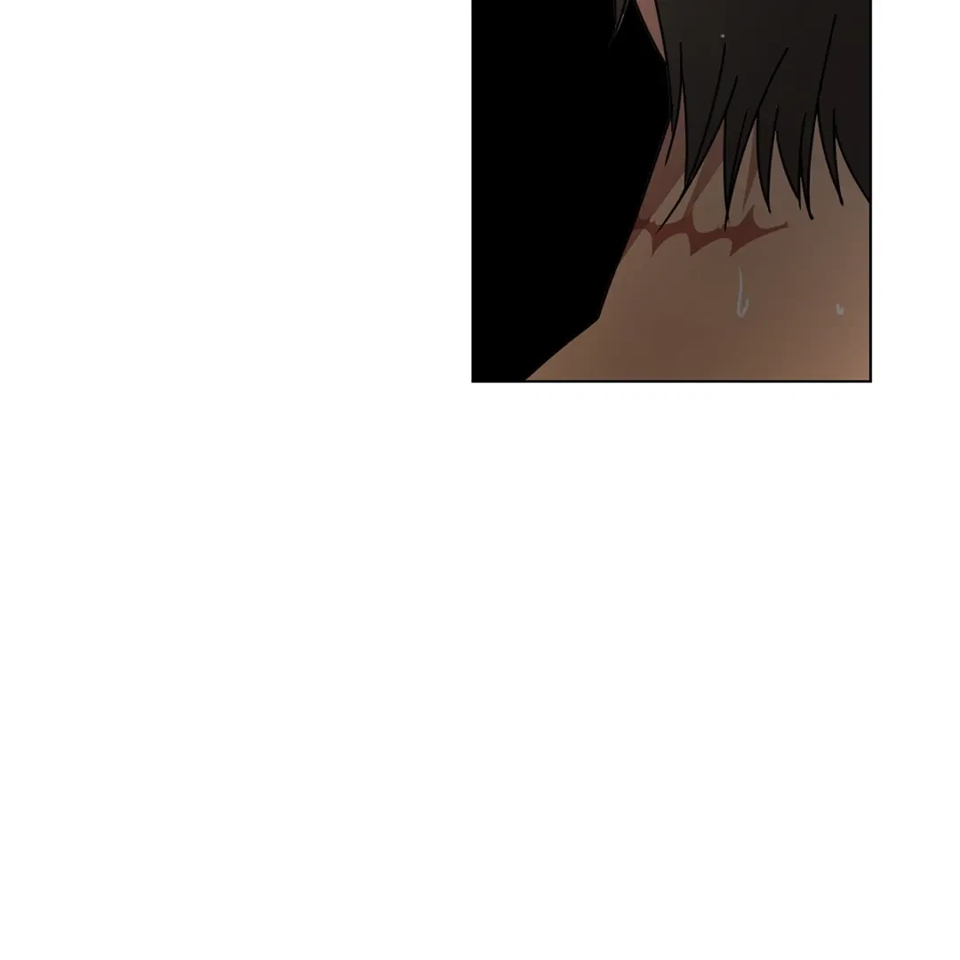 Chapter 3, page 96