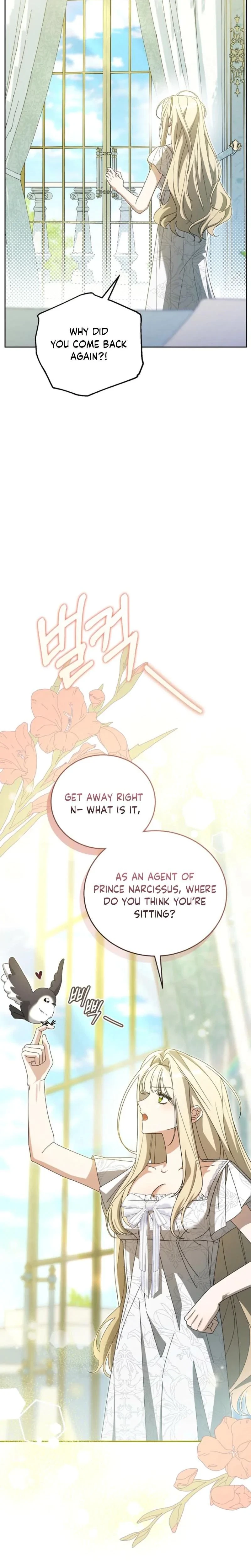Chapter 4, page 19