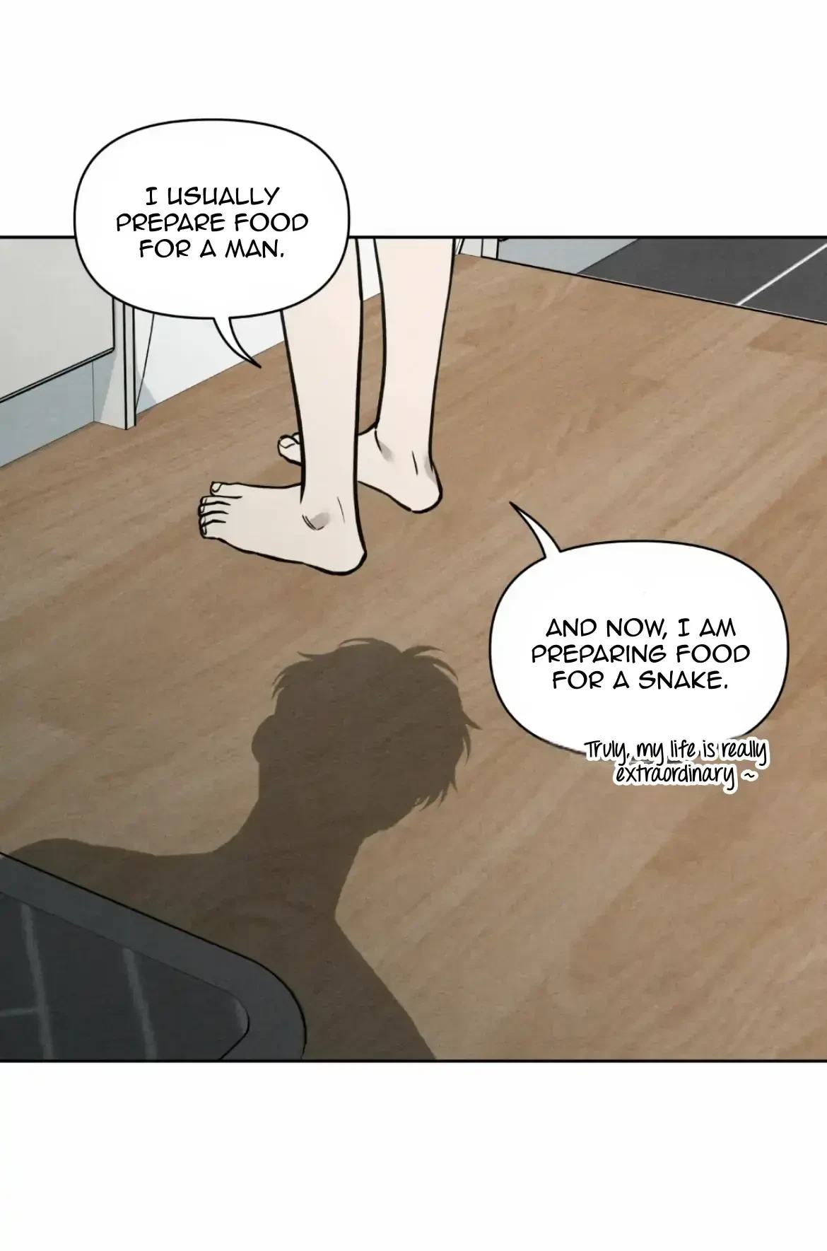 Chapter 1, page 29