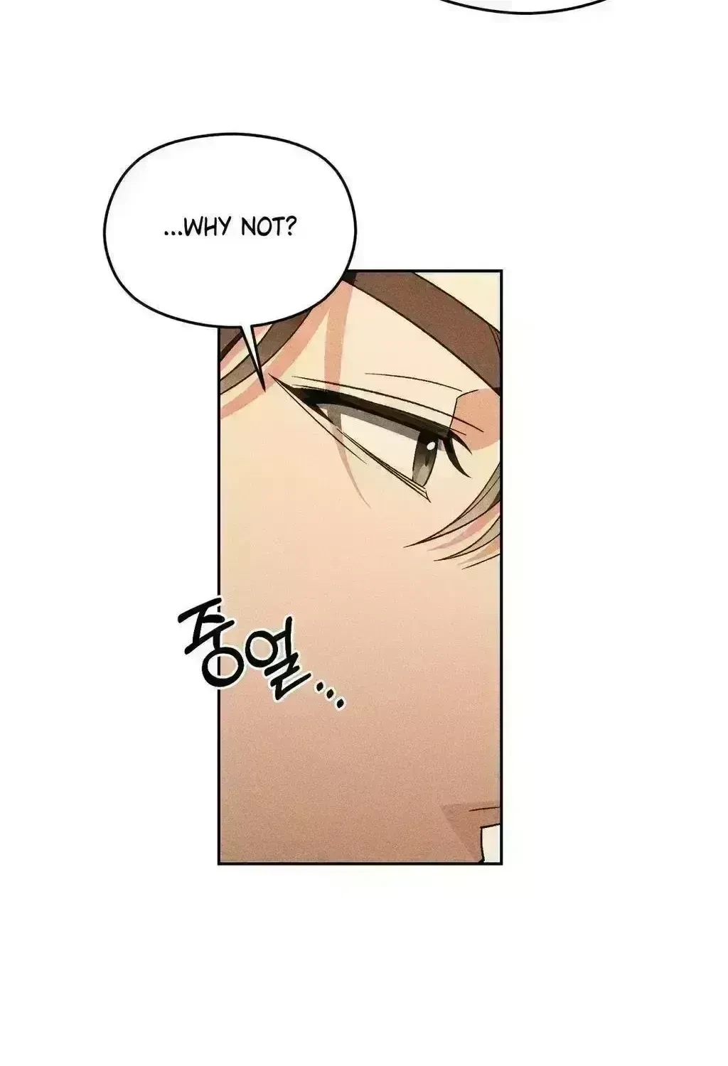 Chapter 3.8, page 51