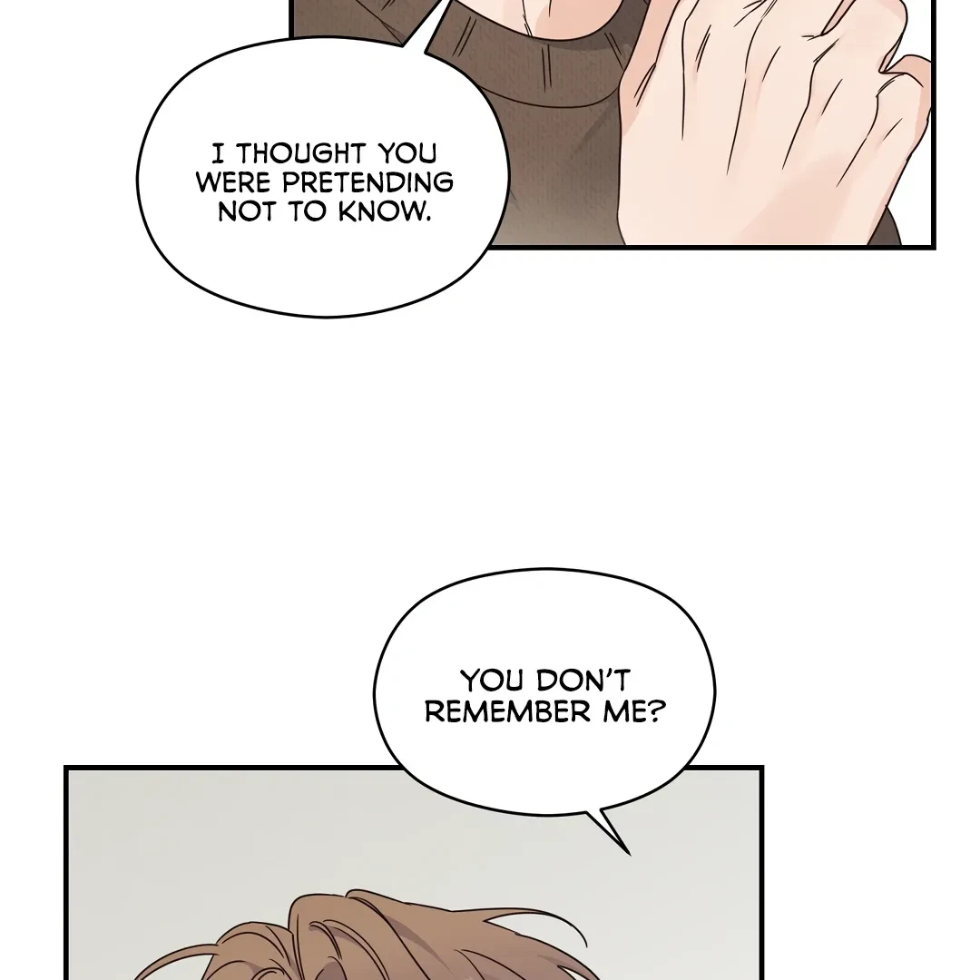 Chapter 4, page 102