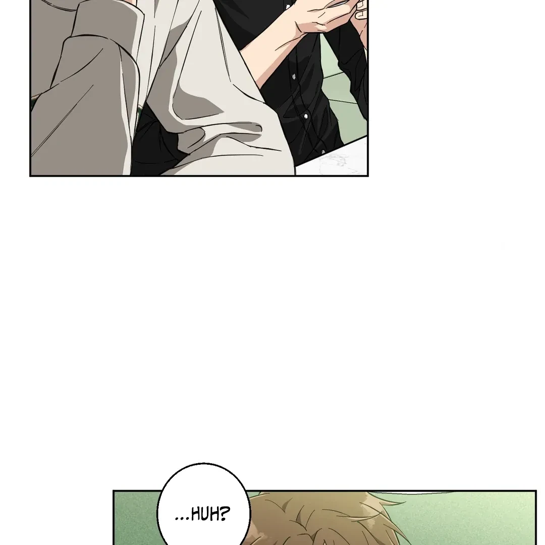 Chapter 3, page 77