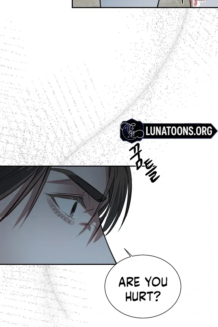 Chapter 2, page 91