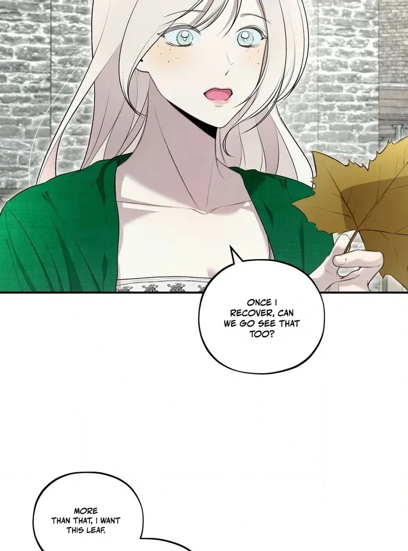Chapter 3, page 48