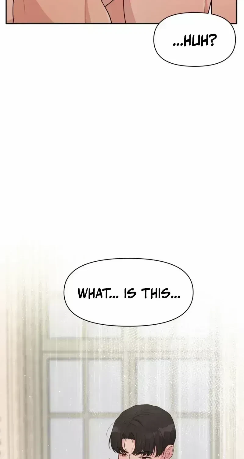 Chapter 1.6, page 35