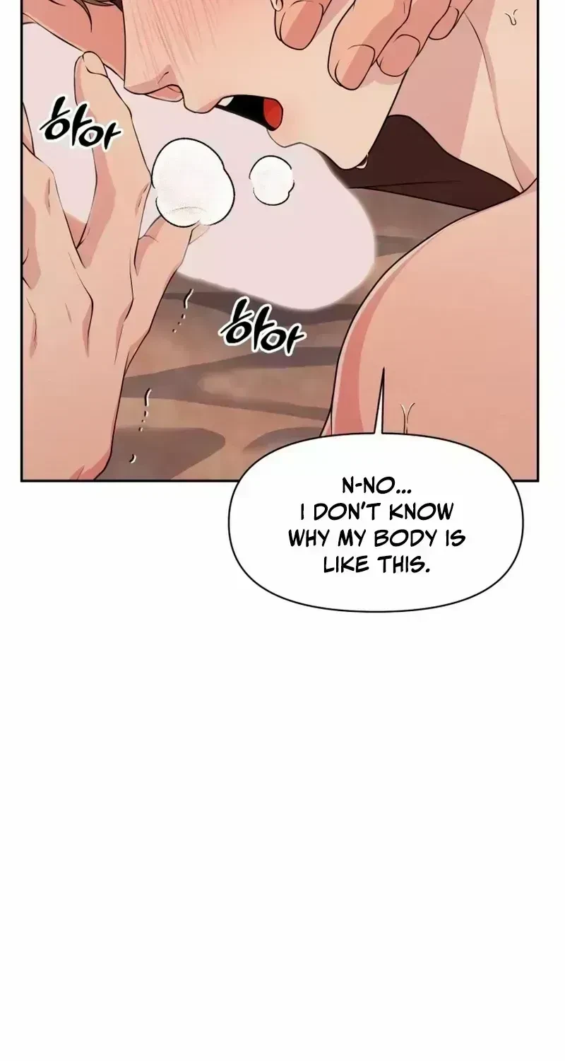 Chapter 1.6, page 62