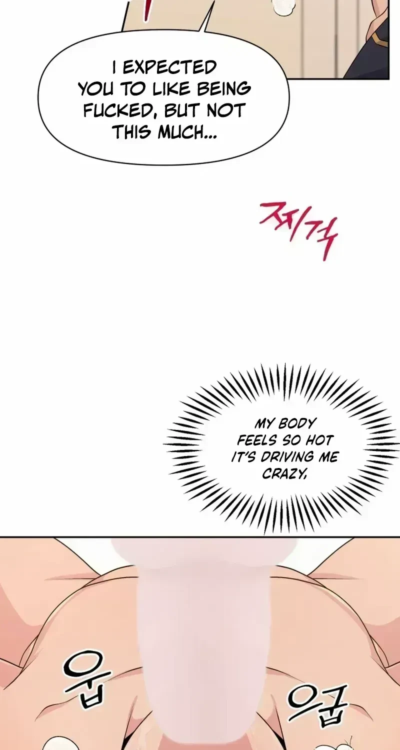 Chapter 1.6, page 85