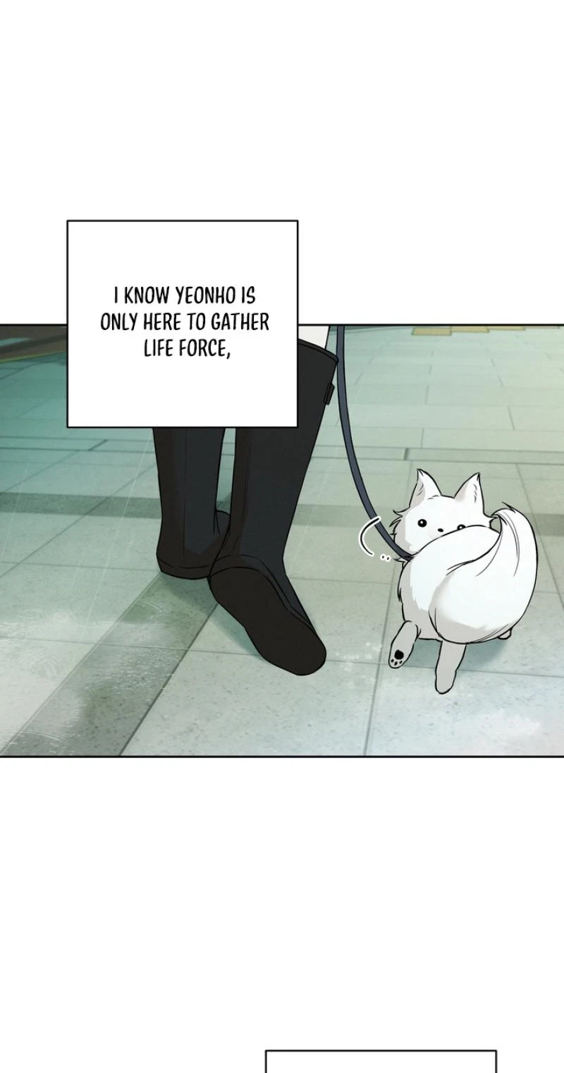 The Immortal Tail Chapter 11, page 19