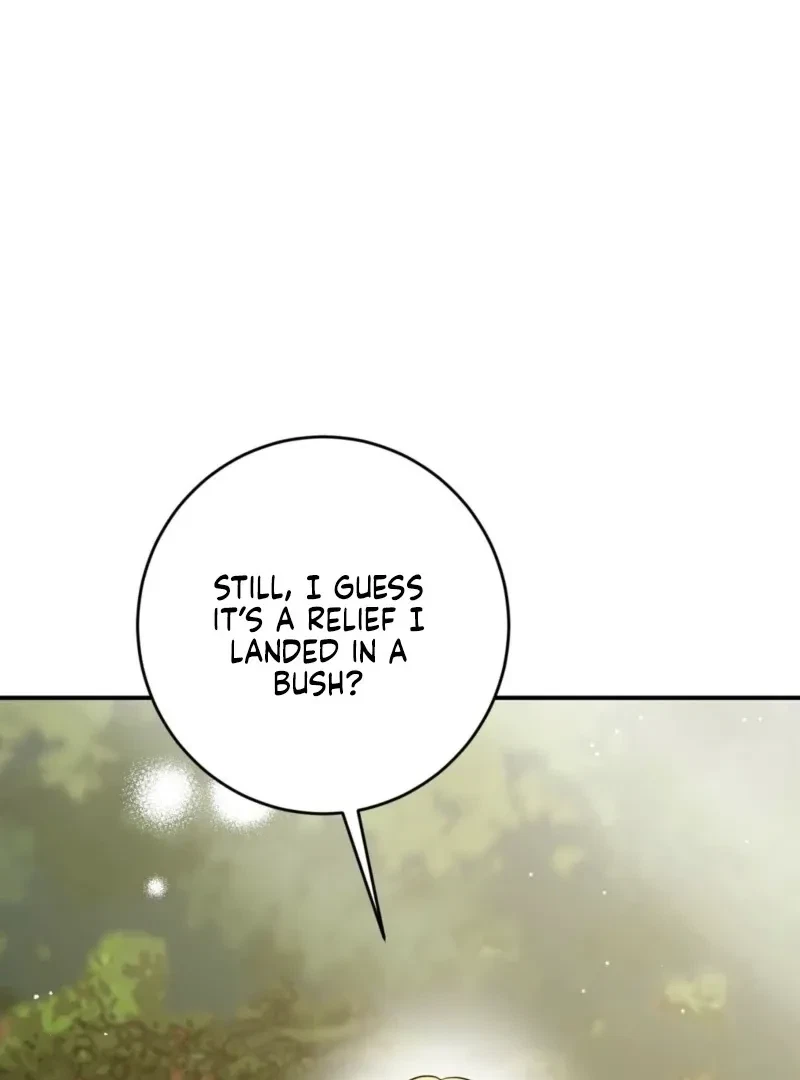 Chapter 3, page 105