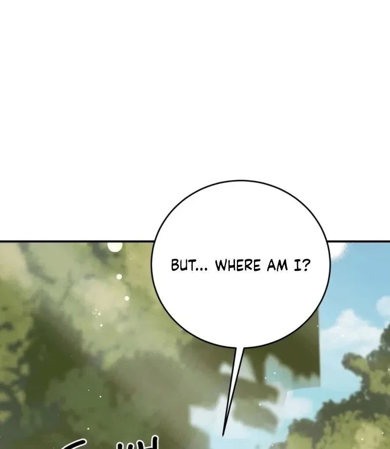 Chapter 3, page 107
