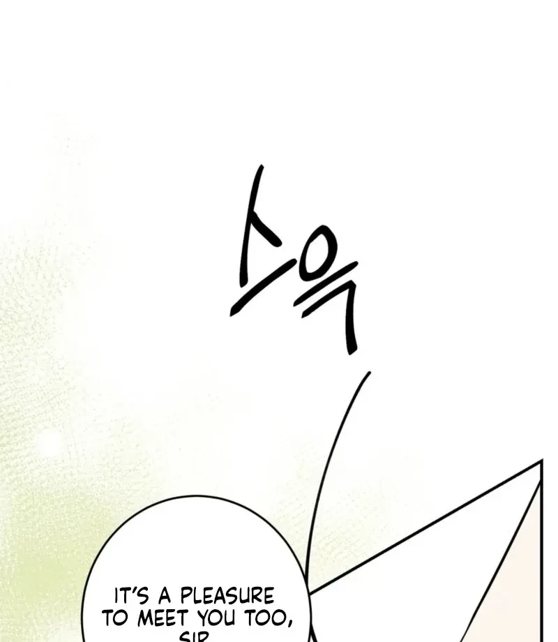 Chapter 3, page 11