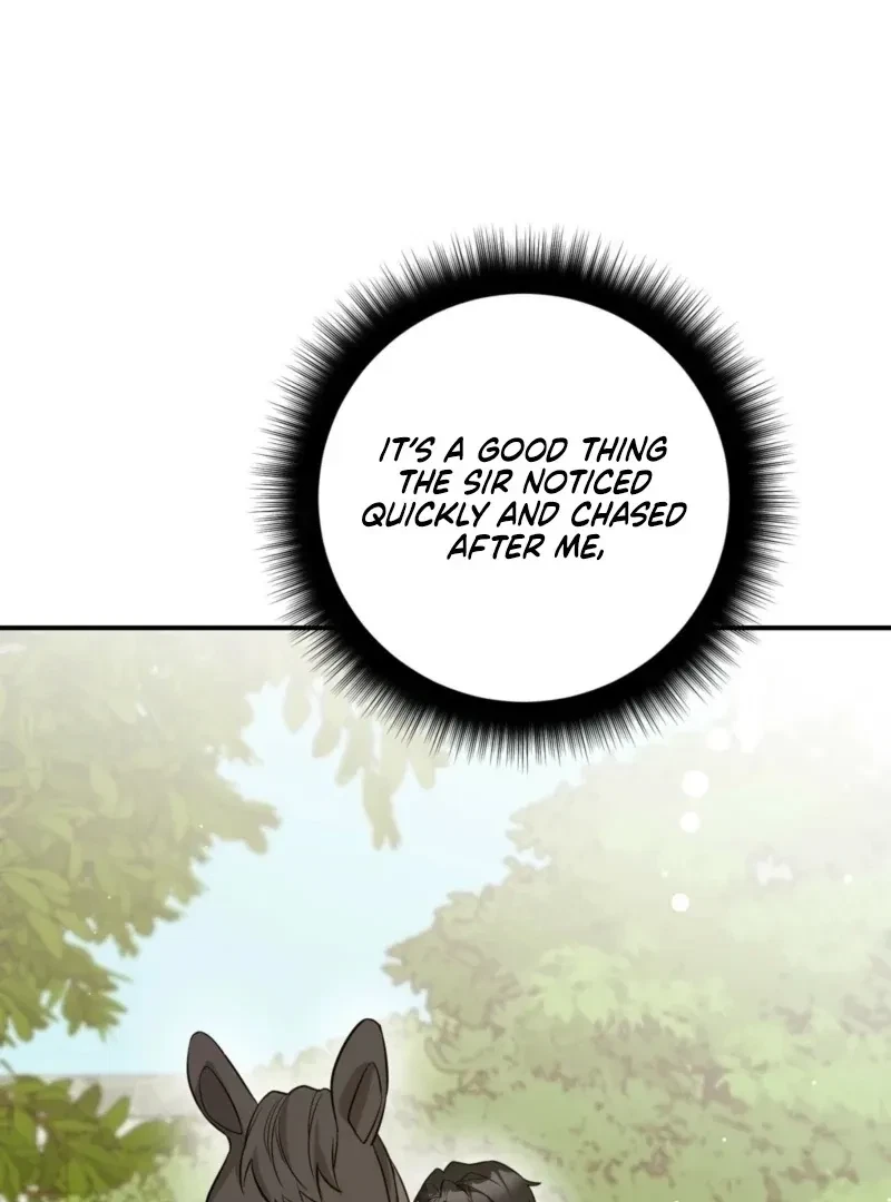 Chapter 3, page 113