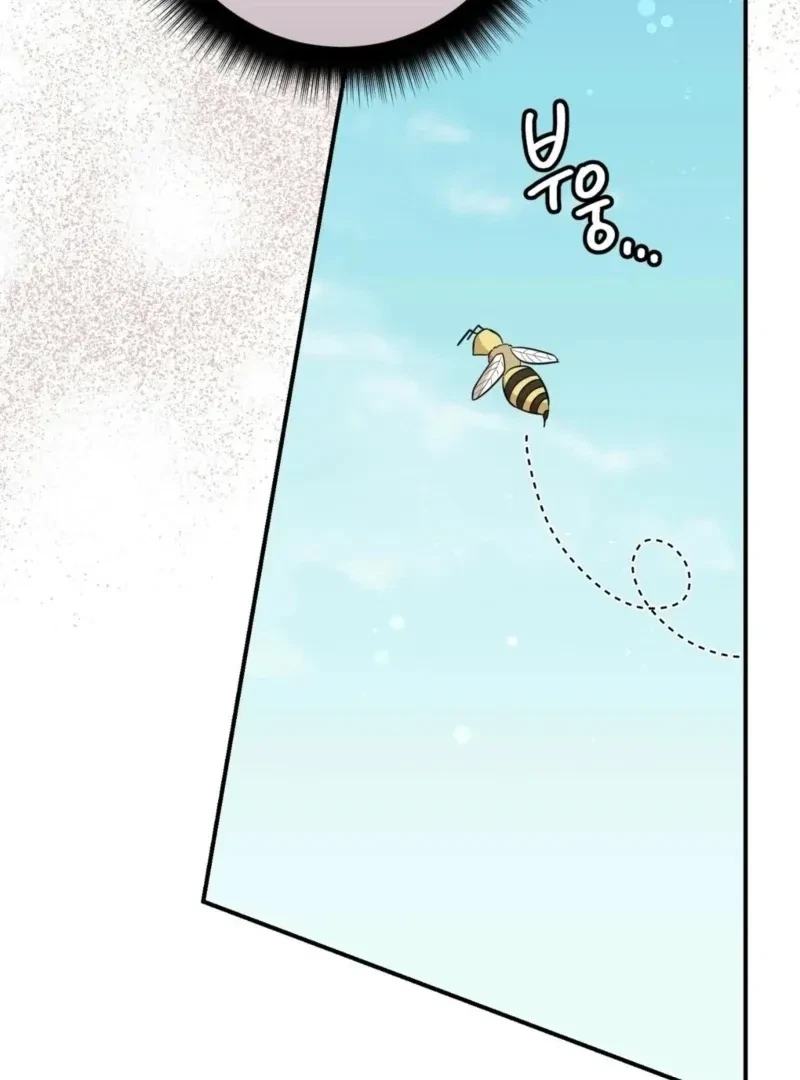 Chapter 3, page 74