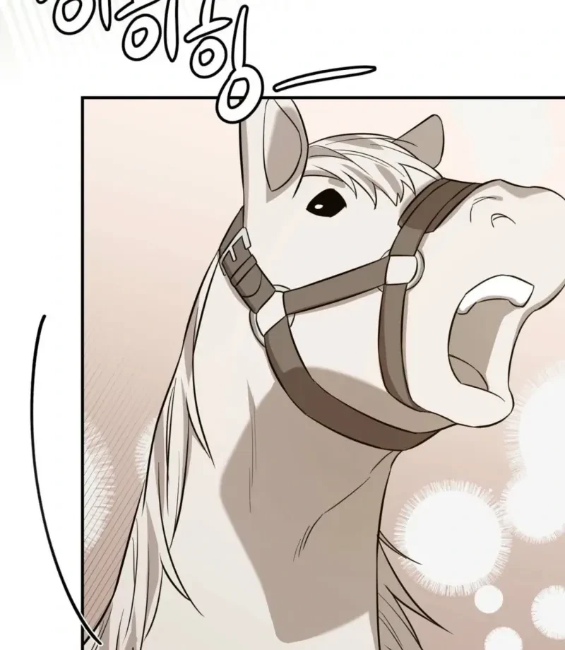 Chapter 3, page 95