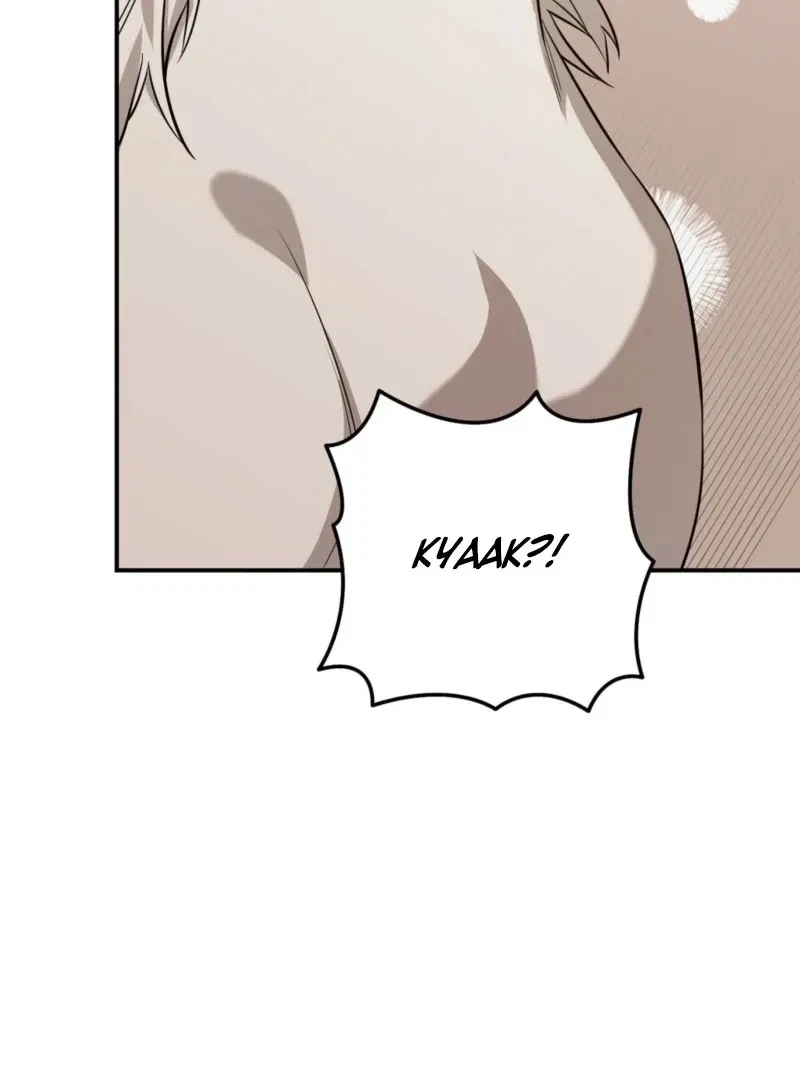 Chapter 3, page 96