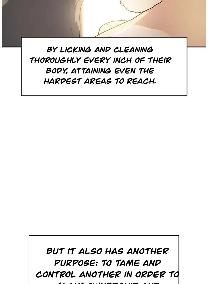 Chapter 1, page 5