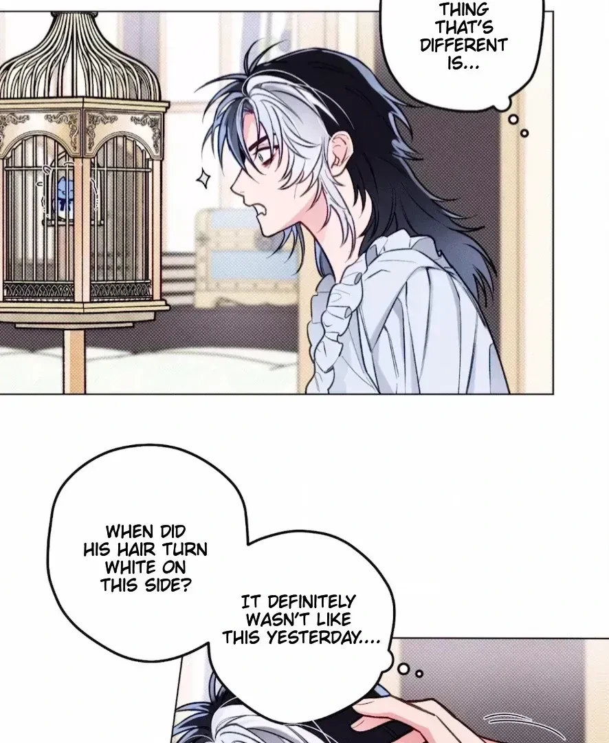 Chapter 1.5, page 46