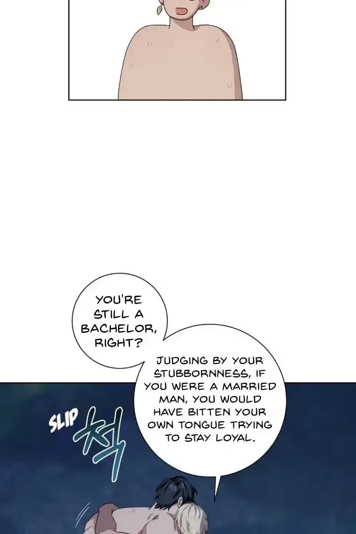 Chapter 4, page 49