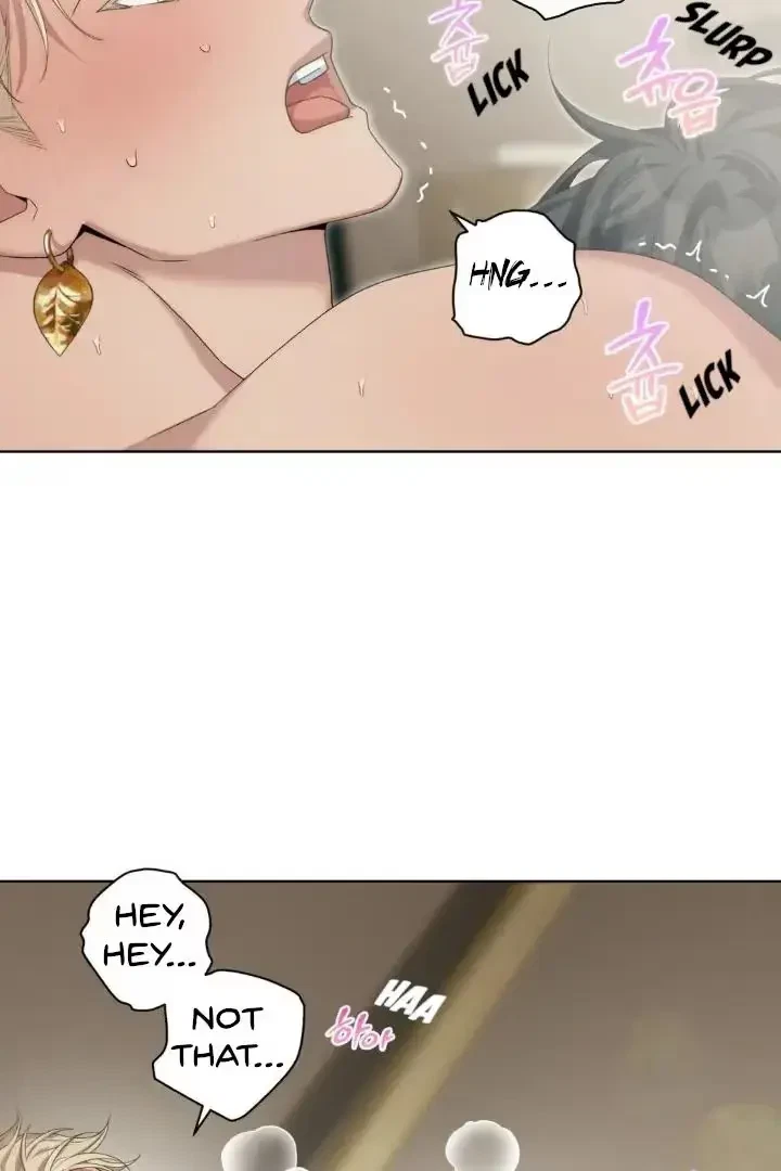 Chapter 4, page 77
