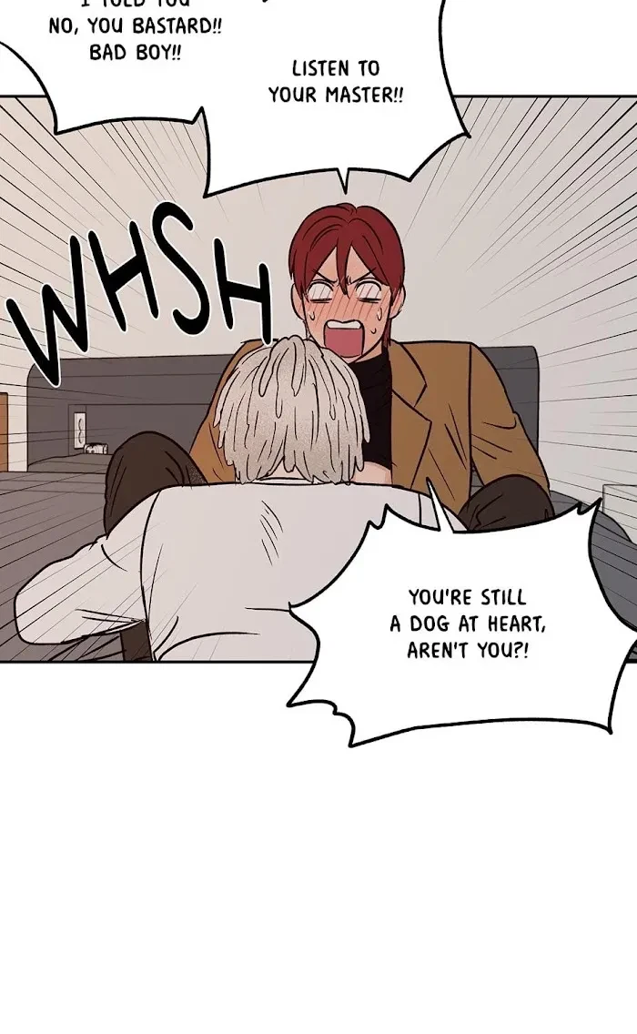 Chapter 0.3, page 49