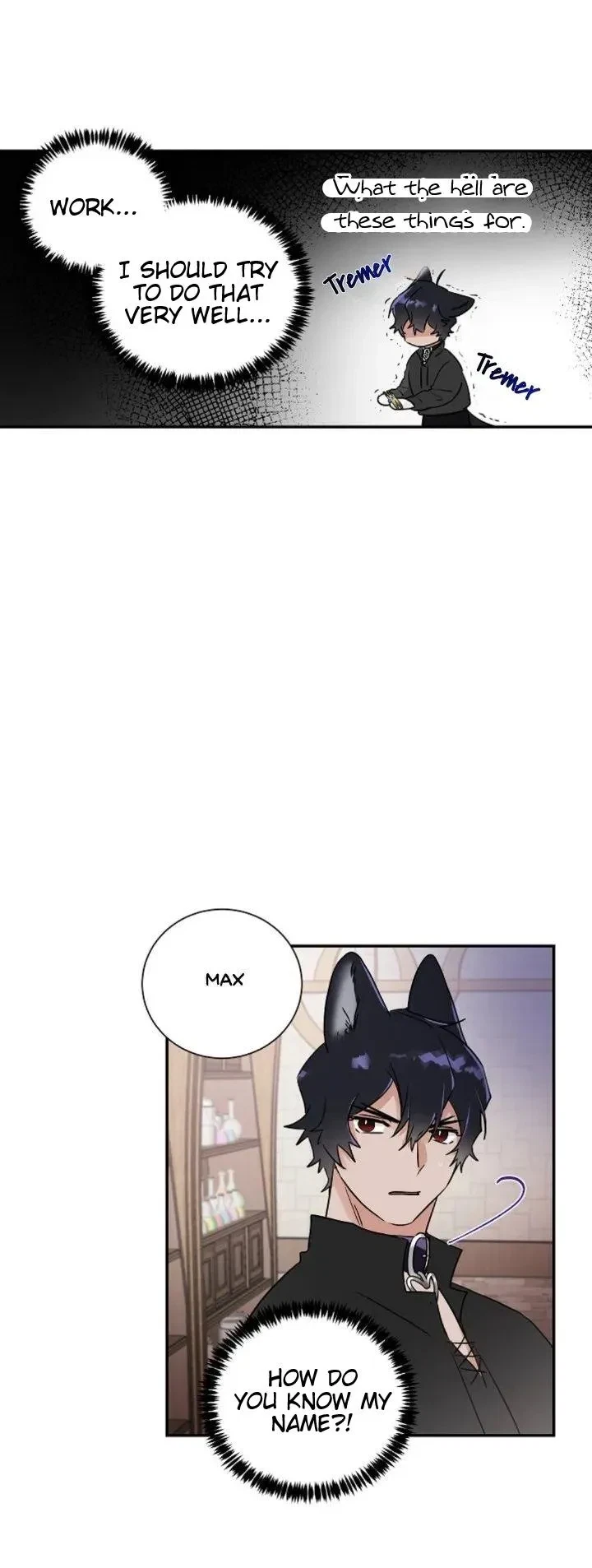 Chapter 4, page 21