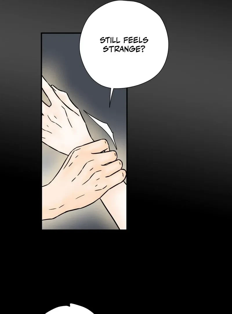 Chapter 5, page 66