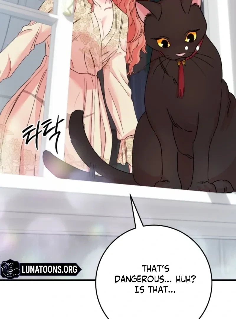 Chapter 3, page 135