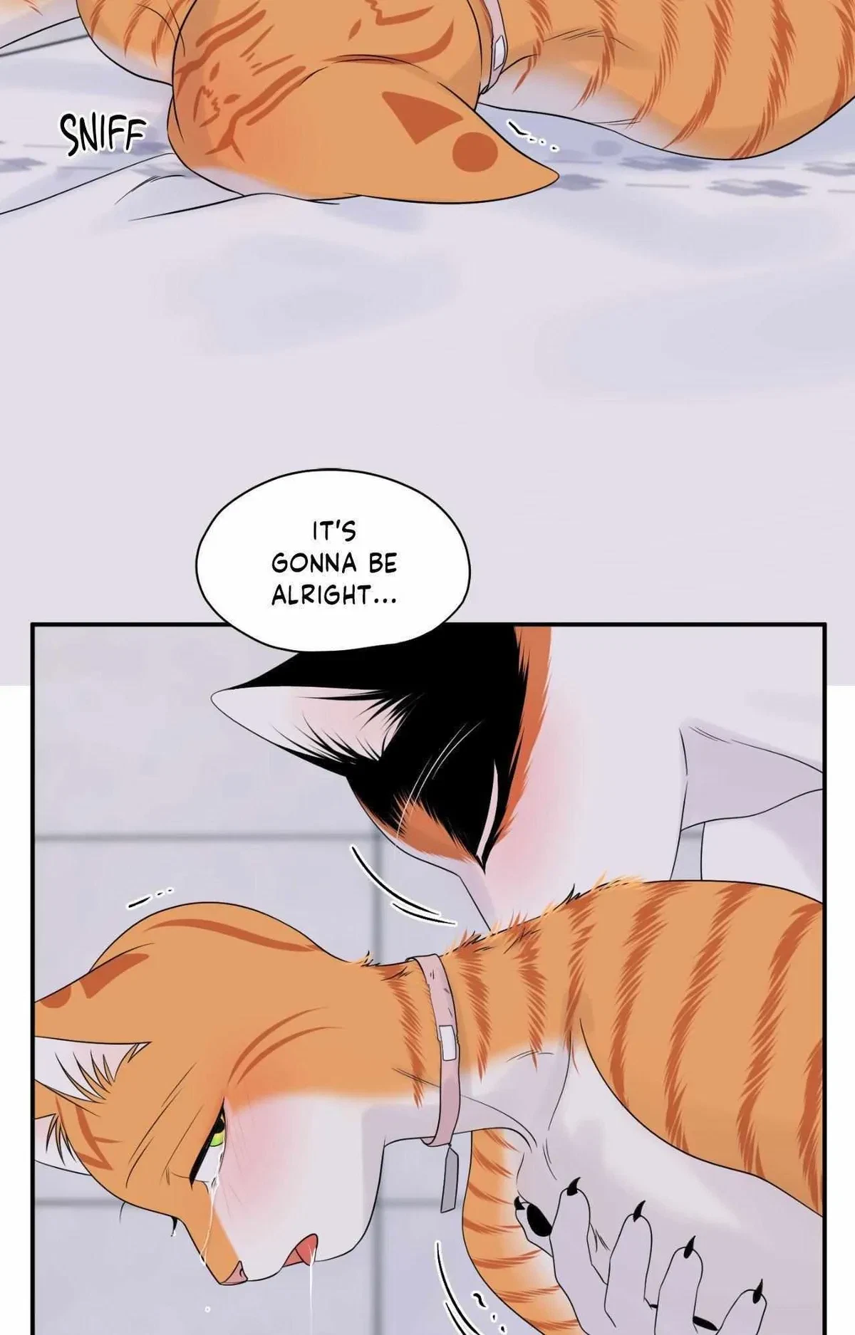 Chapter 82, page 17